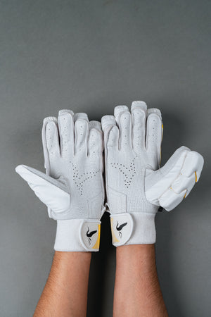 Limited Edition - Senior / Adult Bundle – Bat | Gloves | Pads | Bag