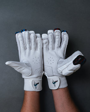 Boordiya Edition Bundle – Bat | Gloves | Pads| Bag