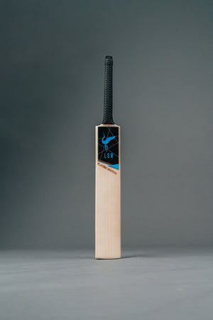 Player Edition Senior Bundle – Bat | Gloves | Pads | Bag