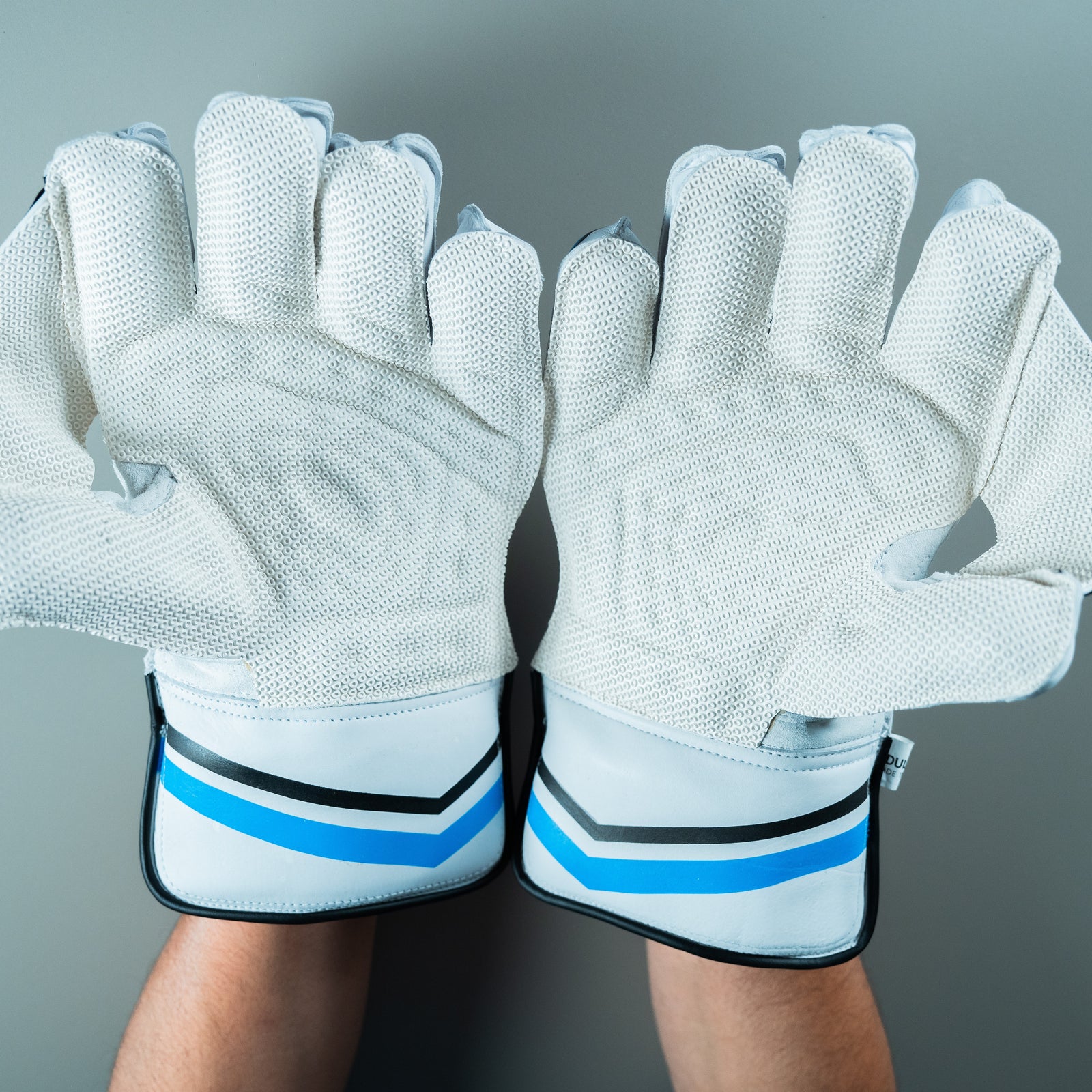 LSR Sports- Blue Wicket Keeping Gloves