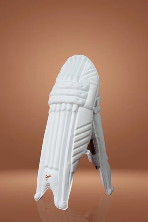 BARLIYAS EDITION BUNDLE - BAT | GLOVES | PADS | BAG