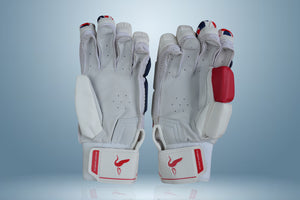 LSR SPORTS - Limited Edition Gloves